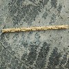 image of Figure 37